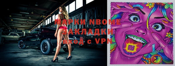 амф Новозыбков