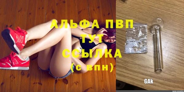 амф Новозыбков