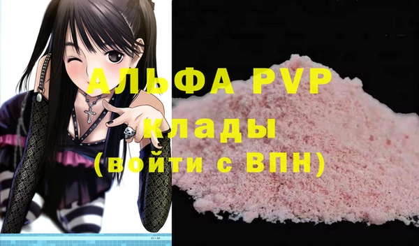 амф Новозыбков