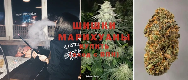 амф Новозыбков