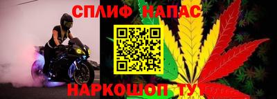 мдпв Можга