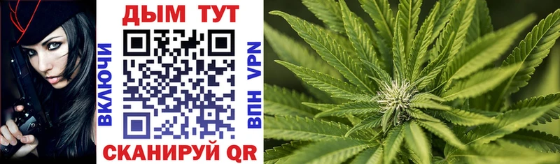 KRAKEN Рассказово МАРИХУАНА OG Kush